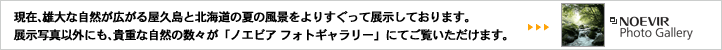 �m�G�r�A�t�H�g�M�������[