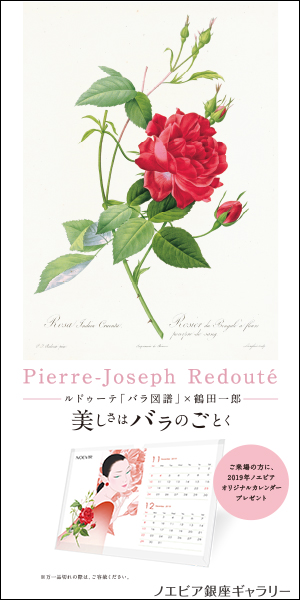 ルドゥーテ「バラ図譜」×鶴田一郎 美しさはバラのごとく